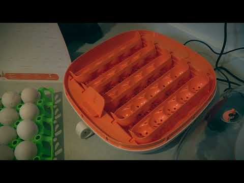 The new Chickcozy Incubator