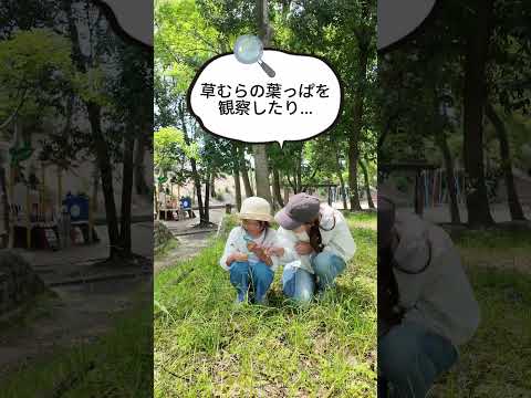 【広報いばらき8月号を公開！】