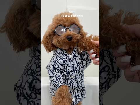 It’s bath time! #bath #bathtime #asmrsounds #shorts