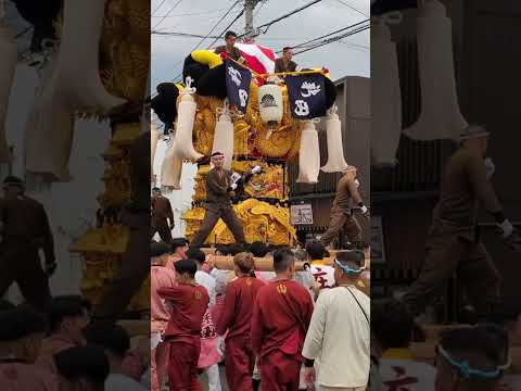 【HD高画質】新居浜太鼓祭り 新田太鼓台 花園 差し上げ ショート 3 令和7年 2025年10月16日