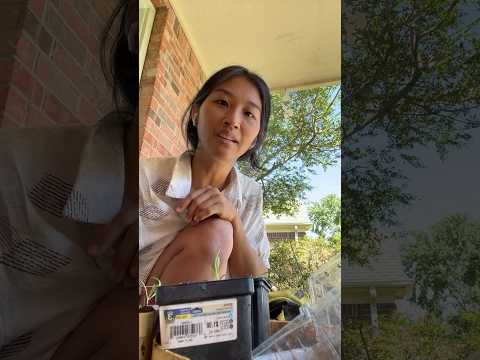 Live highlight “Fall gardening”- live M, W, F at 11 am central!