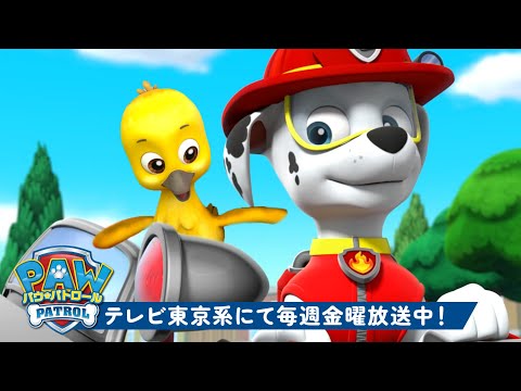 パウ・パトロール | パウ・パトロールの赤ちゃん動物レスキュー！🐥🐒 | 90分 | テレビ東京系にて放送中