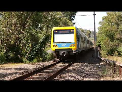 Metro Trains at Forest Road Foot Crossing, Ferntree Gully (Including a Tait Set)