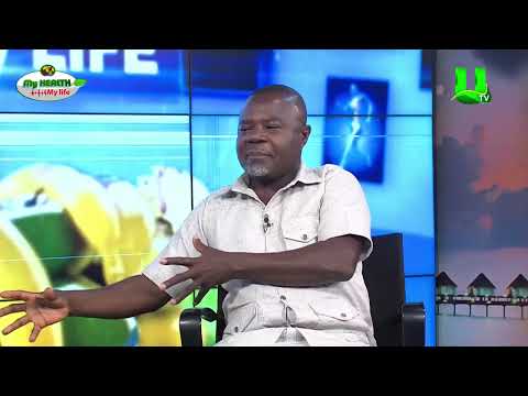 My Health My Life:   All You Need to Know About Surrogacy