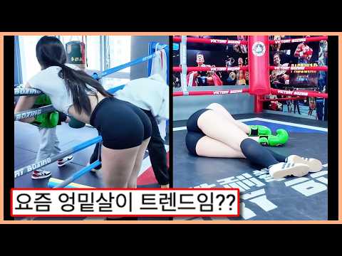 ㅇㅎ) 주먹보다는 엉덩이가 더 많이 보인다는 복싱체육관,,, 운동에 집중 안 되는 이유 ㅗㅜㅑ (웃긴영상&댓글 모음)