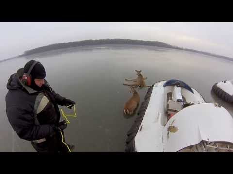 GoPro: Hovercraft Deer Rescue - UCqhnX4jA0A5paNd1v-zEysw