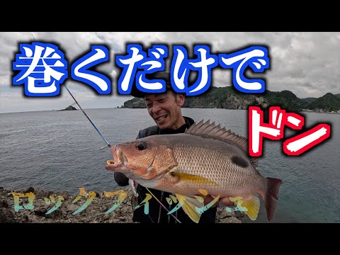 根魚を釣っていたら突然ドン!【ロックフィッシュ】