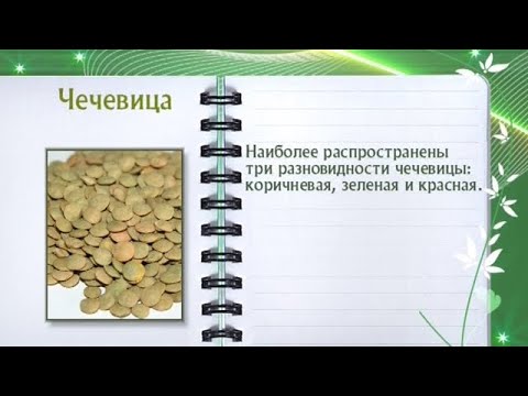 Кулинарная энциклопедия - Чечевица - UC7XBjhXnmmXFsxmnys9PmDQ