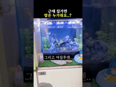 <strong>근데</strong> 집가면 누가 밥줘요..?