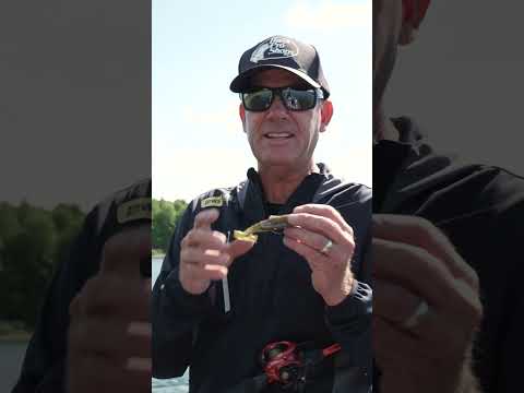 This week's KVD Tip of the Week is working a KVD Rage Toad!