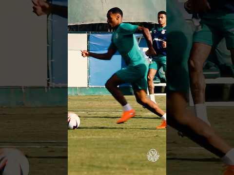 image para ilustrar o artigo