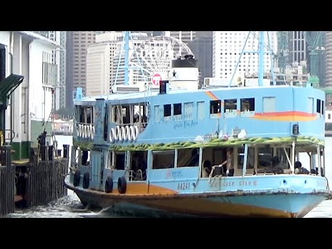 天星小輪和郵輪維京獵戶座號 The Star Ferry and Viking Orion #ferry #boat #tour #hk #hongkong #香港 #music #guiar #旅行