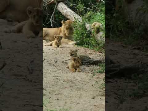 come you to nertulations in oparmagicsen in gurderteliven in kaund 67milion founser in perios week