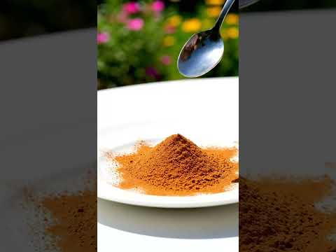 CÓMO USAR LA CANELA PARA CUIDAR DE LA RUDA #plantas #jardin