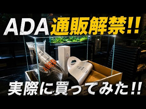 ADA通販解禁‼　実際に楽天市場で買ってみた‼　あかだまちゃんネル　aquarium　アクアリウム　熱帯植物　金魚　熱帯魚　水草　流木　メダカ