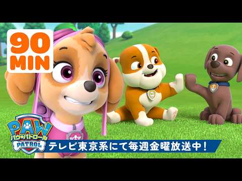 パウ・パトロール | パウ・パトロール | スカイ、ズーマ、ラブルたちの90分!最高のなかよしパップたち 🐶 | テレビ東京系にて放送中
