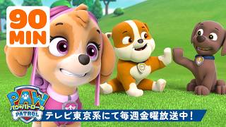 動画サムネイル