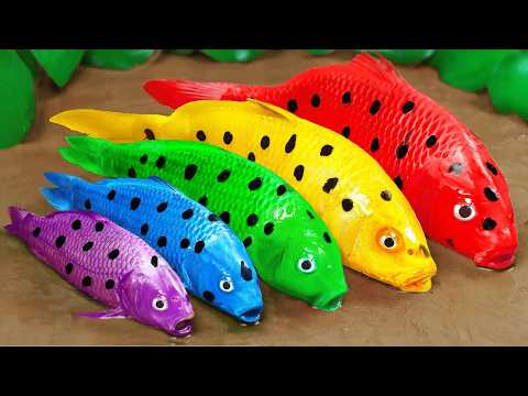 Best Of Small Fish Recipe | MINIATURE Fish Cooking Made EASY with Simple Recipe