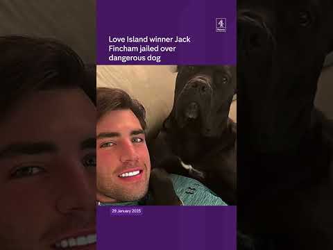 Love Island star jailed over dangerous dog