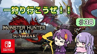 【MHR:SB】金策したり、素材を集めたい