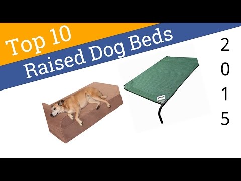 10 Best Raised Dog Beds 2015 - UCXAHpX2xDhmjqtA-ANgsGmw