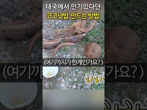 태국에서 인기있는 코코넛밥 만드는 방법