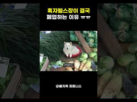 독설가 흑자헬스가 결국 헬스장 폐업 결정한 진짜 이유