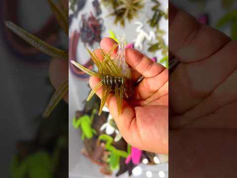 最新！もじゃもじゃ系釣具