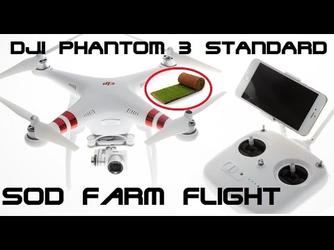 DJI PHANTOM 3 - SOD Farm flight! - UCU33TAvzA-wgPMgcrdMVIdg
