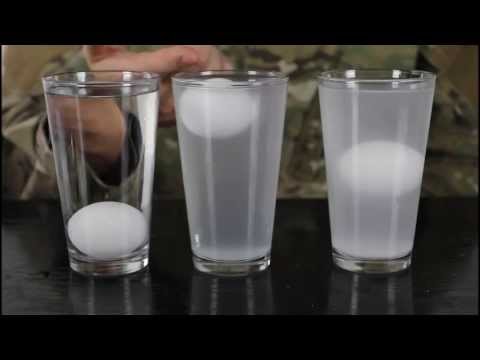 Eggs & Salt Water - Water Density Science Experiment - UCe_vXdMrHHseZ_esYUskSBw