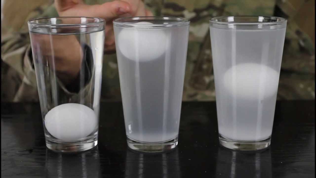 raw eggs experiment with salt