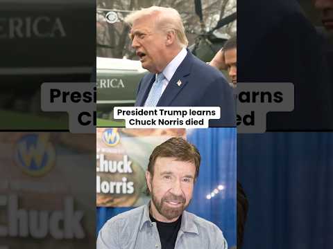 President trump learns chuck norris died #shorts 2026 hqdefault видео: https://www. Youtube. Com/shorts/cisvviii1di
#news #trump #chucknorris cbs news 24/7 is the premier anchored... Iustitia. Bg president trump learns chuck norris died #shorts 2026 2026-03-21 03:53:05 justice - iustitia. Bg