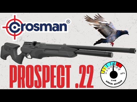 Crosman Prospect .22 - Is it any good?