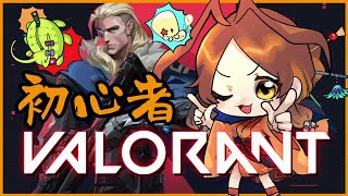 【VALORANT】雑魚コンペ（ブロンズ1）目指せシルバーアリさん🐜【姫蟻エイル/Vtuber】