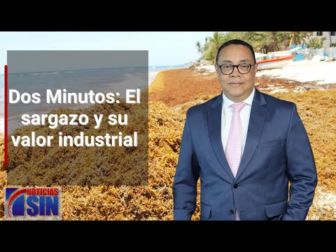 Dos Minutos: El sargazo y su valor industrial