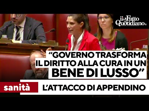 Appendino (M5s) al governo: "State mettendo una croce sulla sanità. La cura sarà un bene di lusso"