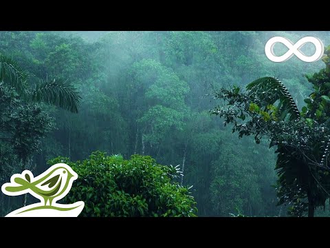 Relaxing Music & Soft Rain: Sleep Music, Calm Piano Music, Healing Music, Peaceful Music ★149 - UCjzHeG1KWoonmf9d5KBvSiw