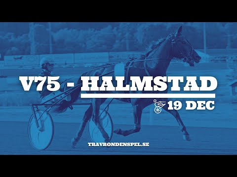 V75 tips Halmstad | 19 december
