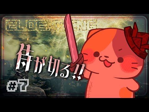 thumbnail_ckXePpd19o8