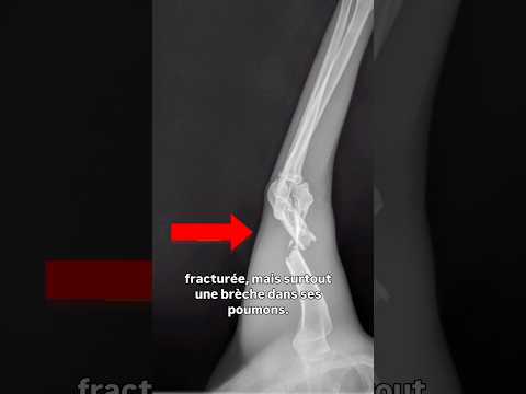 Ce chat est tombé du 6 eme étage #vlog #chat