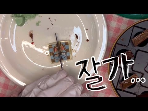 ✧* <strong>야지무게</strong> 먹야어지~ ㅣ 미리발렌 동물의 반갈쇼 ★✭
