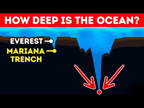 How Deep Is the Ocean In Reality? - UC4rlAVgAK0SGk-yTfe48Qpw