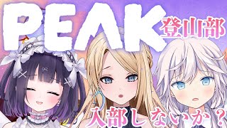 【PEAK】つきなみかい夏の登山部？足腰弱くても大丈夫そう？【w/叶望ゆゆ、銀灰まお】【月魅暁りりか/MEWLIVE】