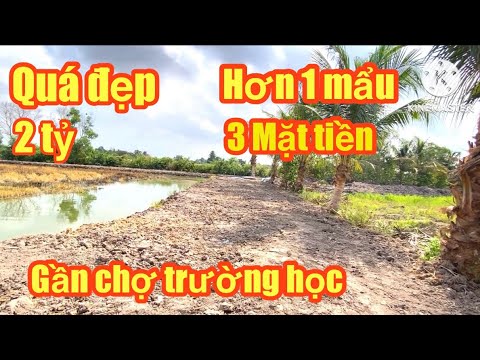 Đất mẫu lập vườn 3 mặt tiền gần chợ trường học giá 2 tỷ