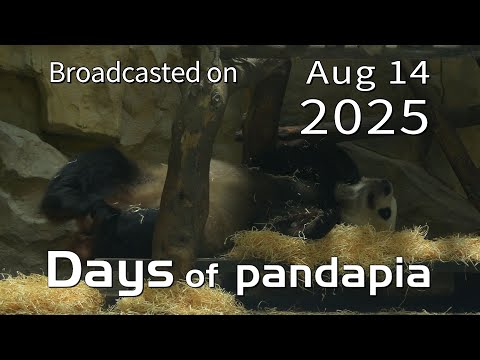 20250814 Broadcast Top Highlights 02