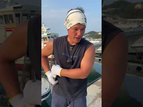 小豆島でまさかのサケガシラ捕獲。その味は?