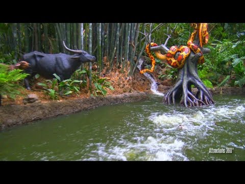 [4K] Jungle Cruise Ride at Disneyland May 2016 - UCbDGvfJHf0r_WjS9voB8POA