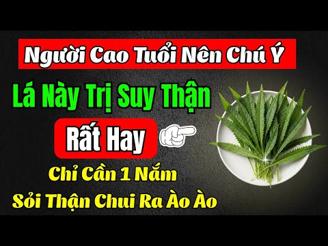 Ngò gai lá nhỏ nhưng có võ: Vì sao người xưa tin để bảo vệ thận? Cô bác xem xong sẽ hiểu!