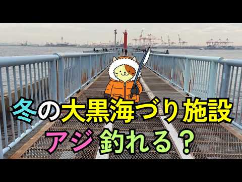 冬の大黒海づり施設でアジは釣れるのか？