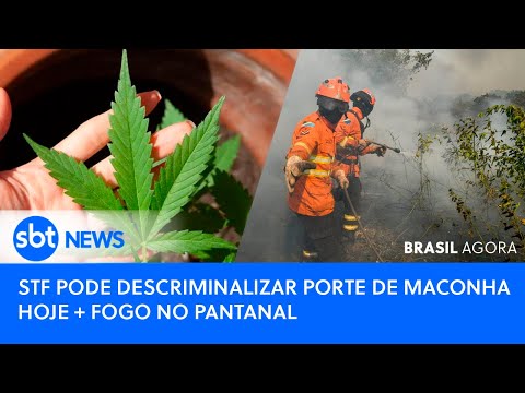 🔴Brasil Agora:  AO VIVO 🚨 STF PODE DESCRIMINALIZAR PORTE DE MACONHA HOJE + FOGO NO PANTANAL